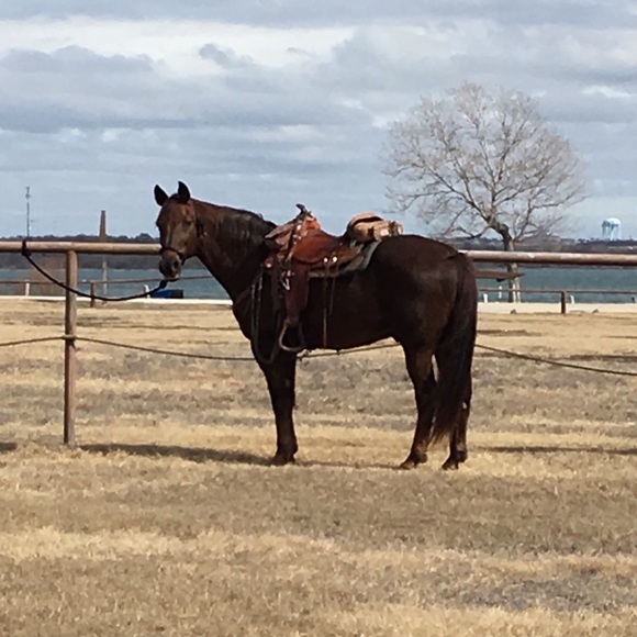 Meet your Posher, Val - Picture 12 of 12